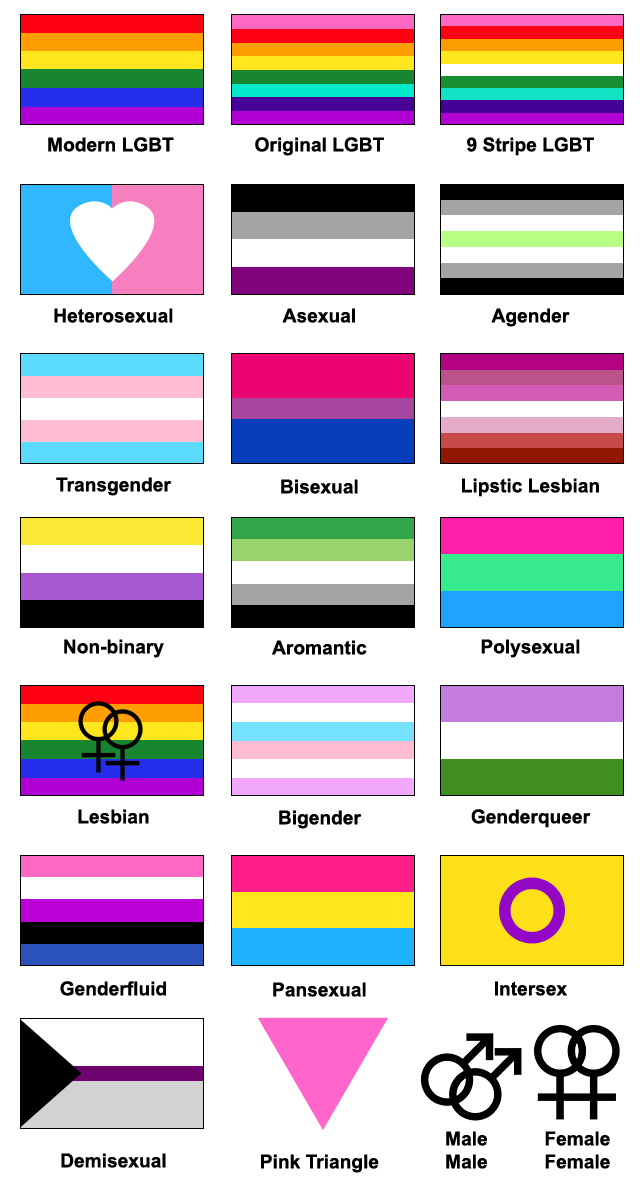 all the gay flag meanings